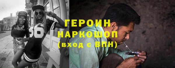 гидра Вяземский