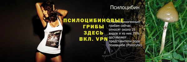 гидра Вяземский