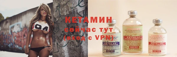 гидра Вяземский