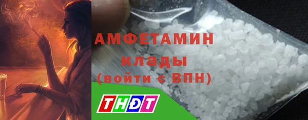 гидра Вяземский