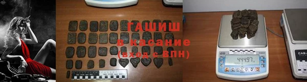 гидра Вяземский