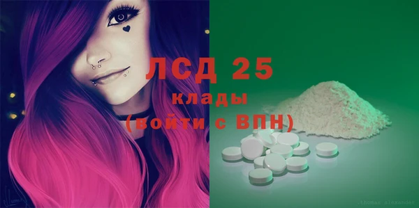 гидра Вяземский