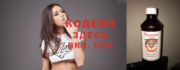 гидра Вяземский