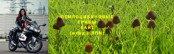 гидра Вяземский