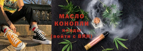 гидра Вяземский