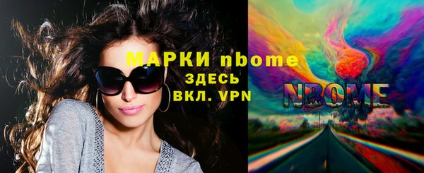 гидра Вяземский