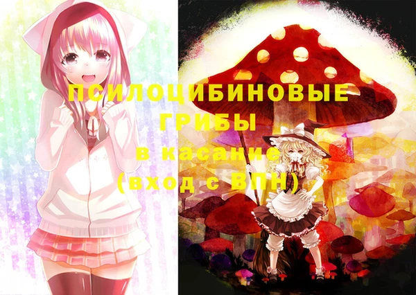 гидра Вяземский
