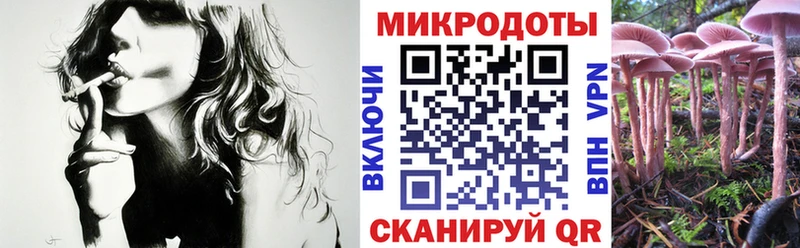 Купить  Сухиничи  Галлюциногенные грибы мицелий 